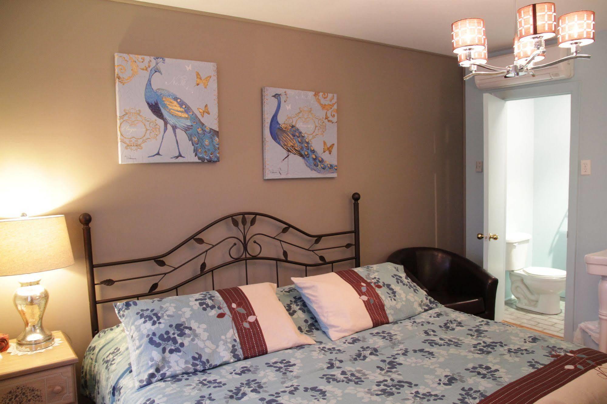 Auberge Maison Roy Ville de Québec Extérieur photo